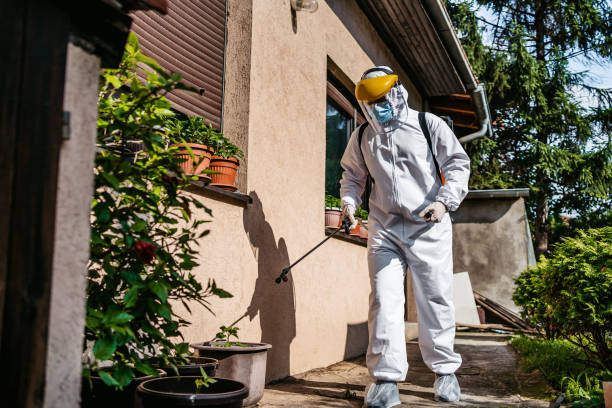 Pest Prevention Services in New Carrollton, MD
