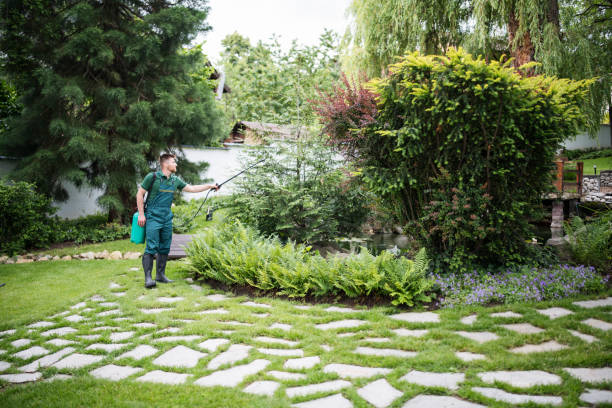 Best Best Pest Control Near Me  in New Carrollton, MD