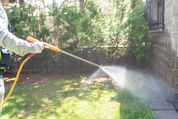 Best Rodent Control Near Me  in New Carrollton, MD