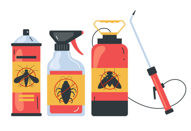 Best Affordable Pest Control Services  in New Carrollton, MD