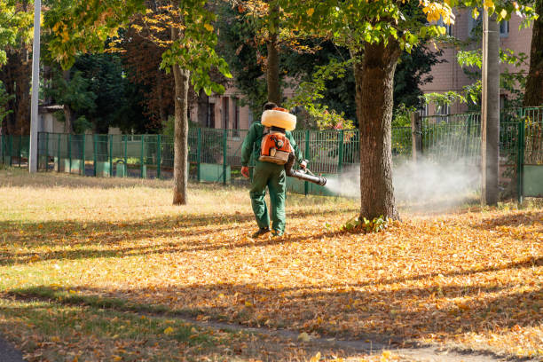 Best Pest Control Near Me in New Carrollton, MD