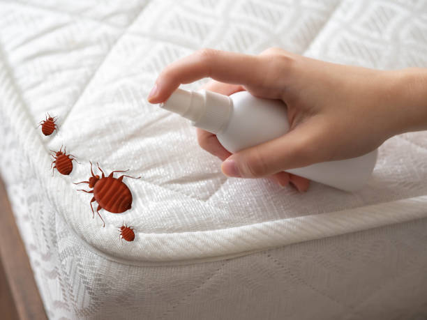 Best Pest Inspection Near Me  in New Carrollton, MD